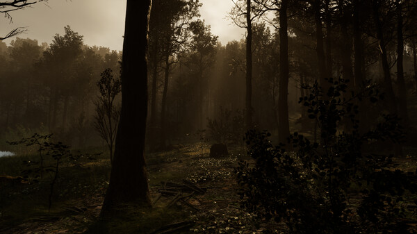 Withering Horrors game for Linux 1