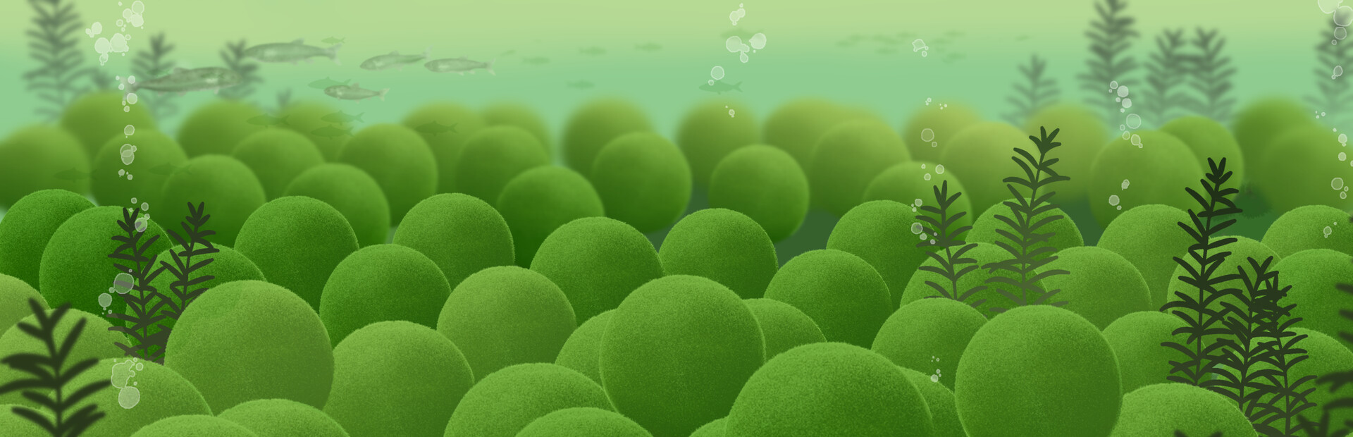 Marimo-VS-IAS: Our Friends