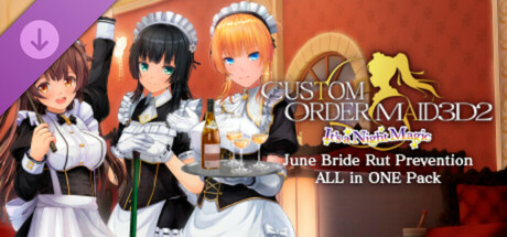 CUSTOM ORDER MAID 3D2 It's a Night Magic June Bride Rut Prevention ALL in ONE Pack cover art