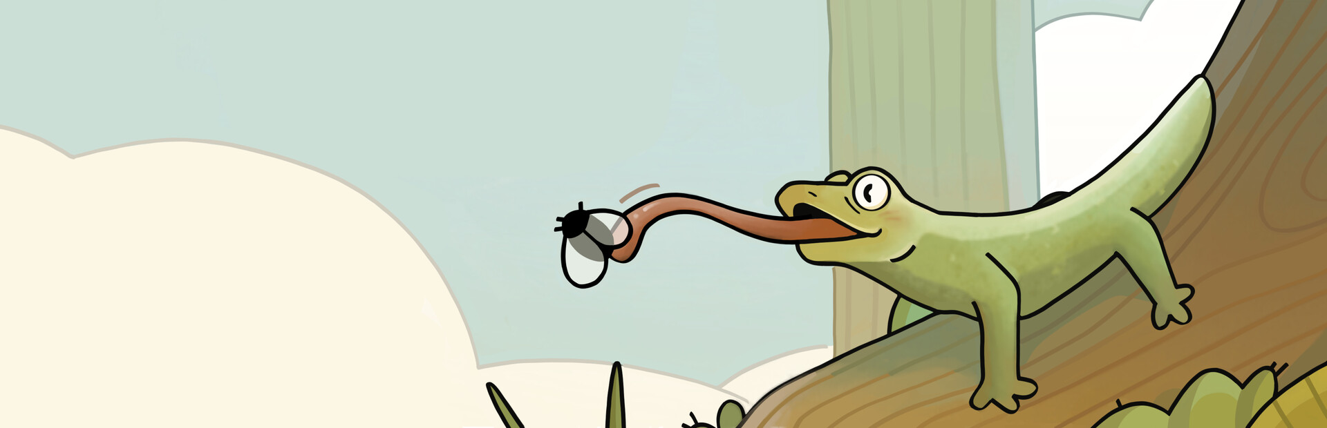 Pocket Gecko