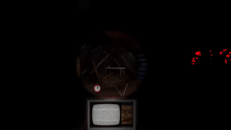 DIAPAUSE video 2