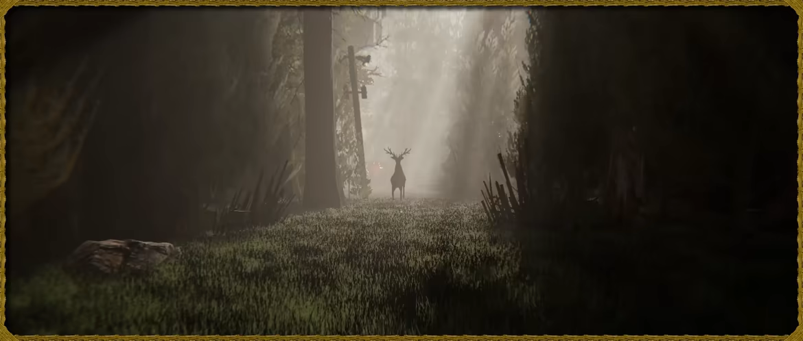 Silvanis video 1