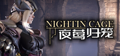 NIGHTIN CAGE cover art
