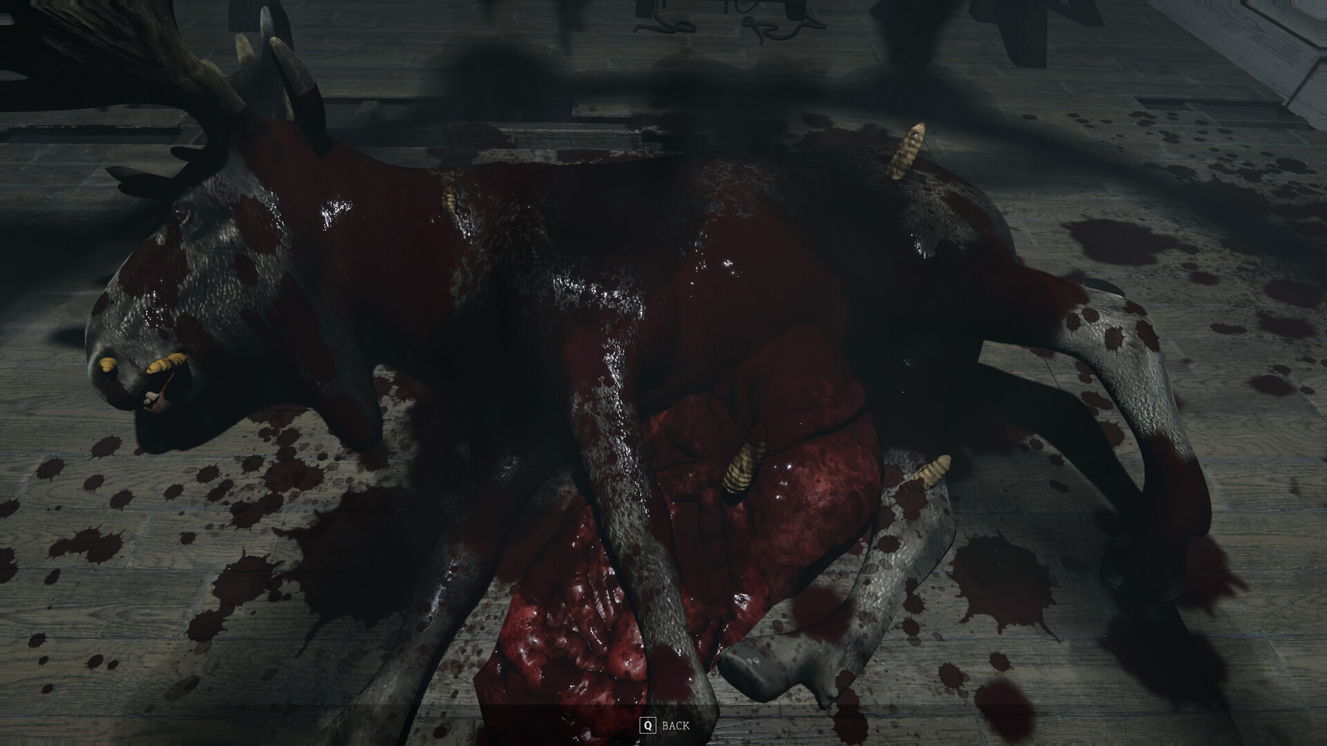 Skinrot