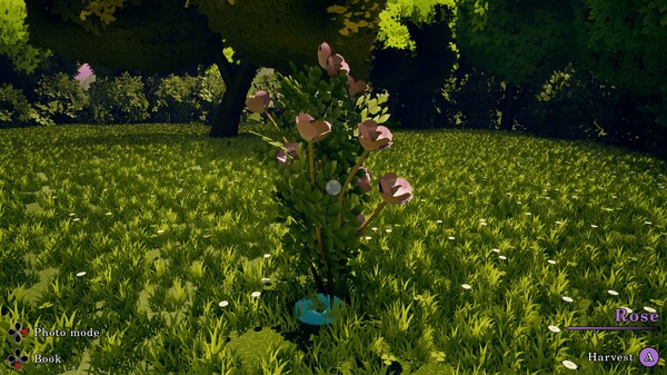 Flowerbloom Cottage screenshot 3