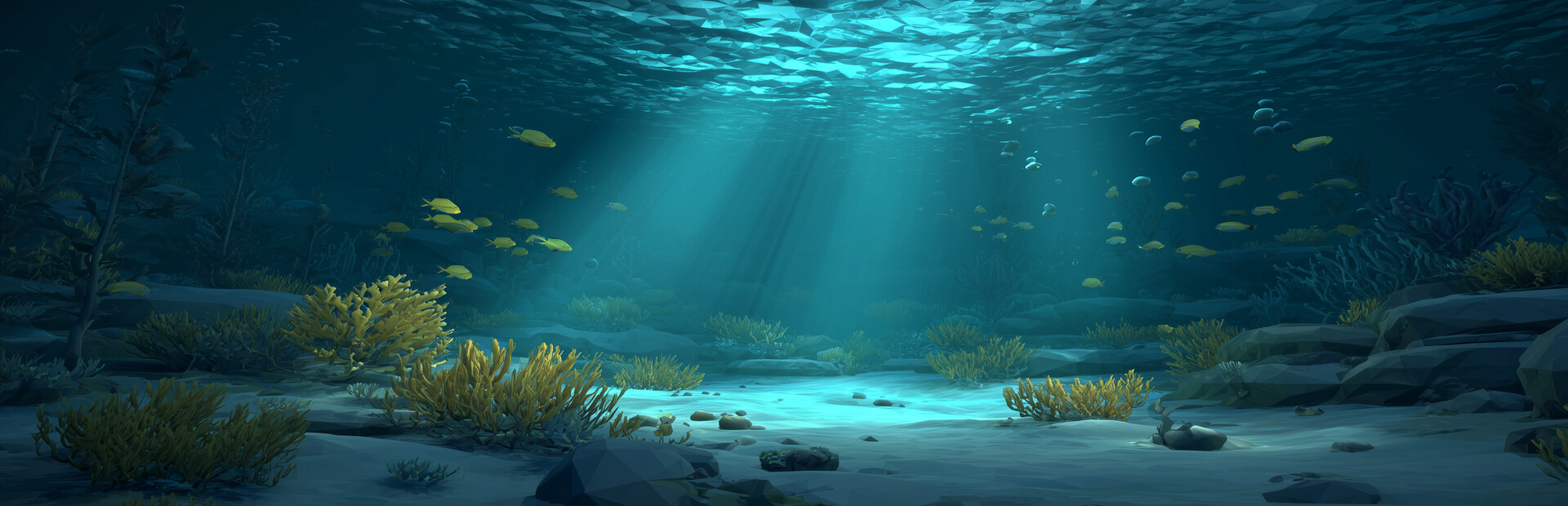 Cleaning The Ocean