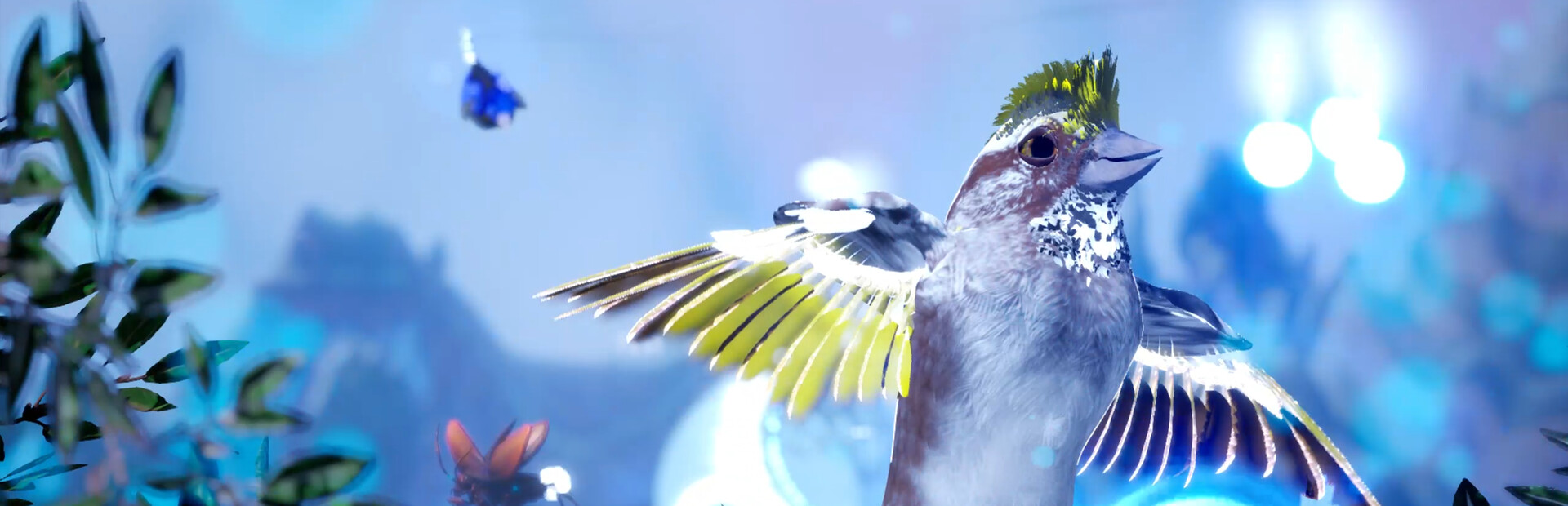Sparrow Country