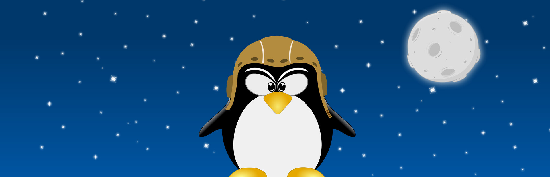 Penguin Rocketeer