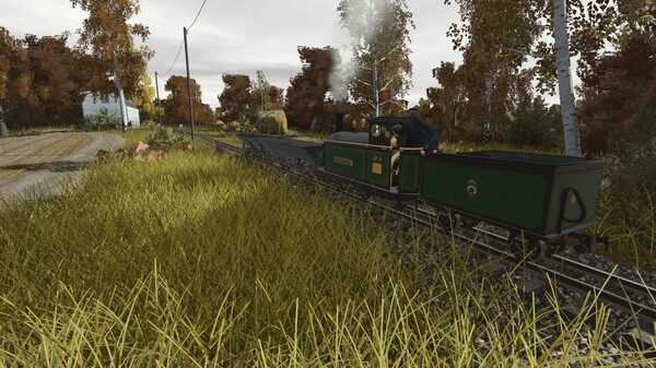 Trainz 2022 DLC - Swedaryn Island Narrow Gauge Railway