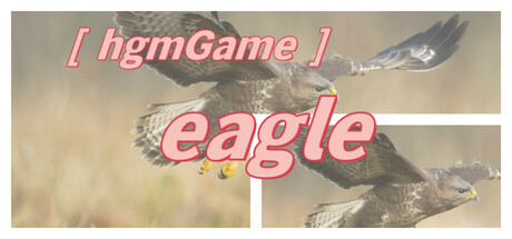 hgmGame-eagle cover art