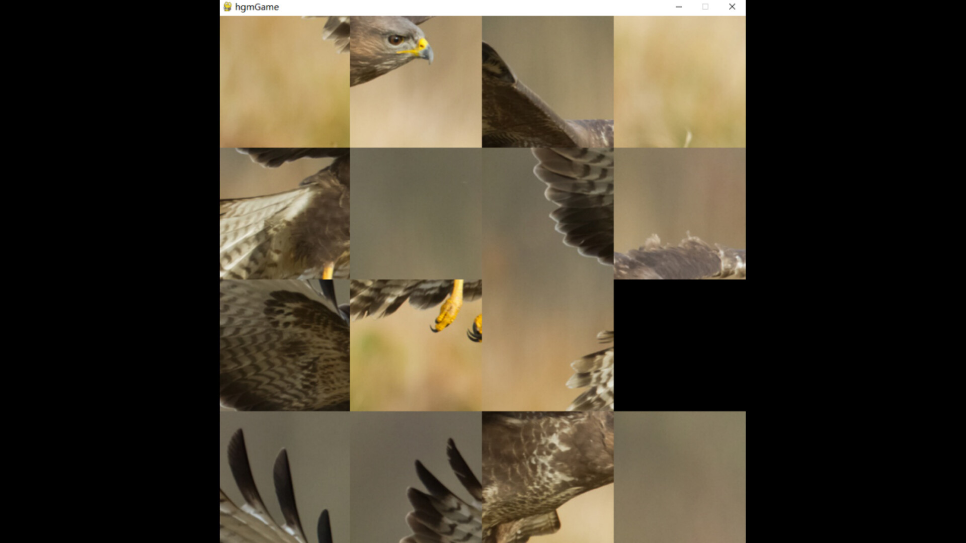 hgmGame-eagle Featured Screenshot #1