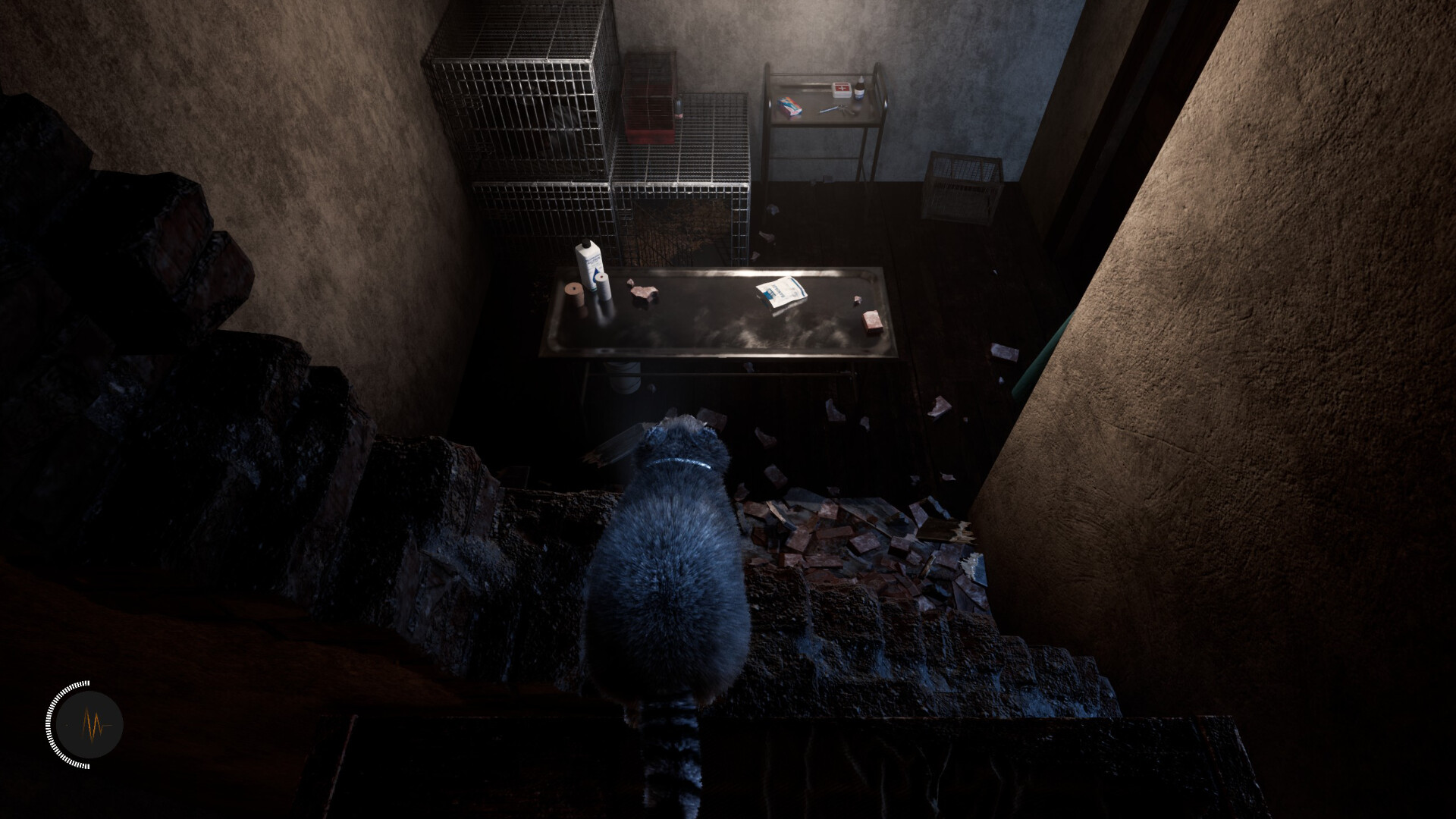 The Last Raccoon screenshot #6