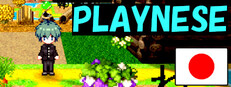 PLAYNESE: Master Japanese