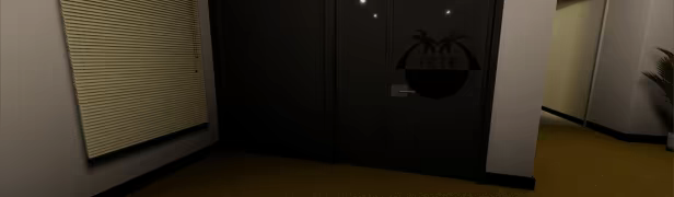 Twin Palms video 2