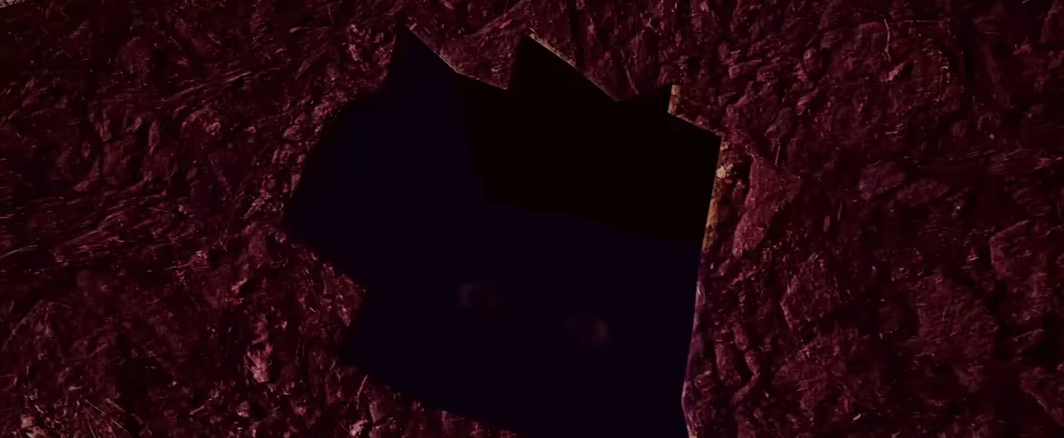 OCULUM video 6