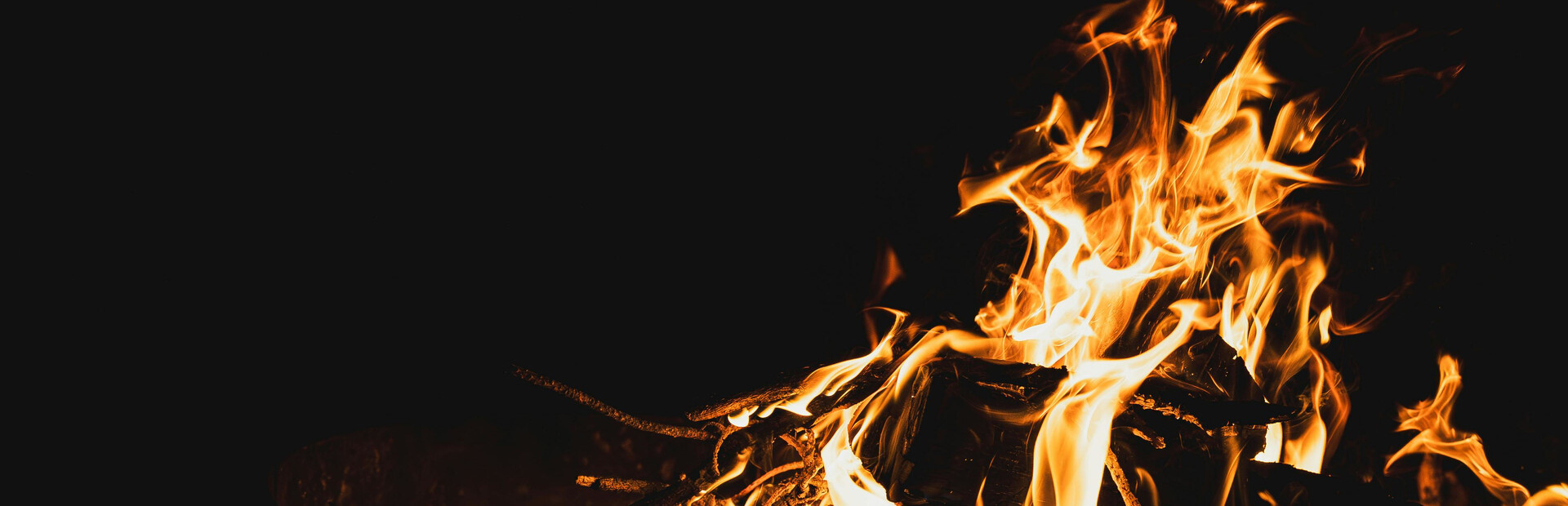 Last Summer at Camp Apocalypse Blood: 101 Ways to Not Capture Bigfoot