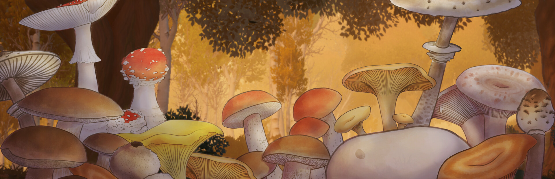 Spores of Fortune