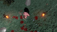 Screenshot #18
