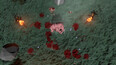 Screenshot #17