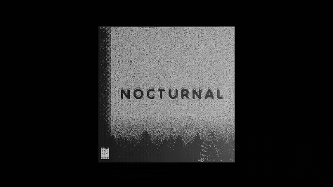 Nocturnal video 3