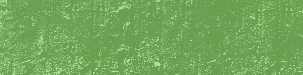 Pawn City video 2