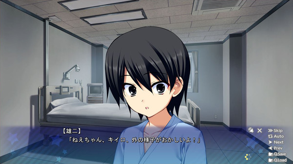 ChaosTCG アイドル魔法少女「松嶋 みちる」【ARS鑑定グレード10+】 Steam：アイドル魔法少女ちるちる☆みちる 後編