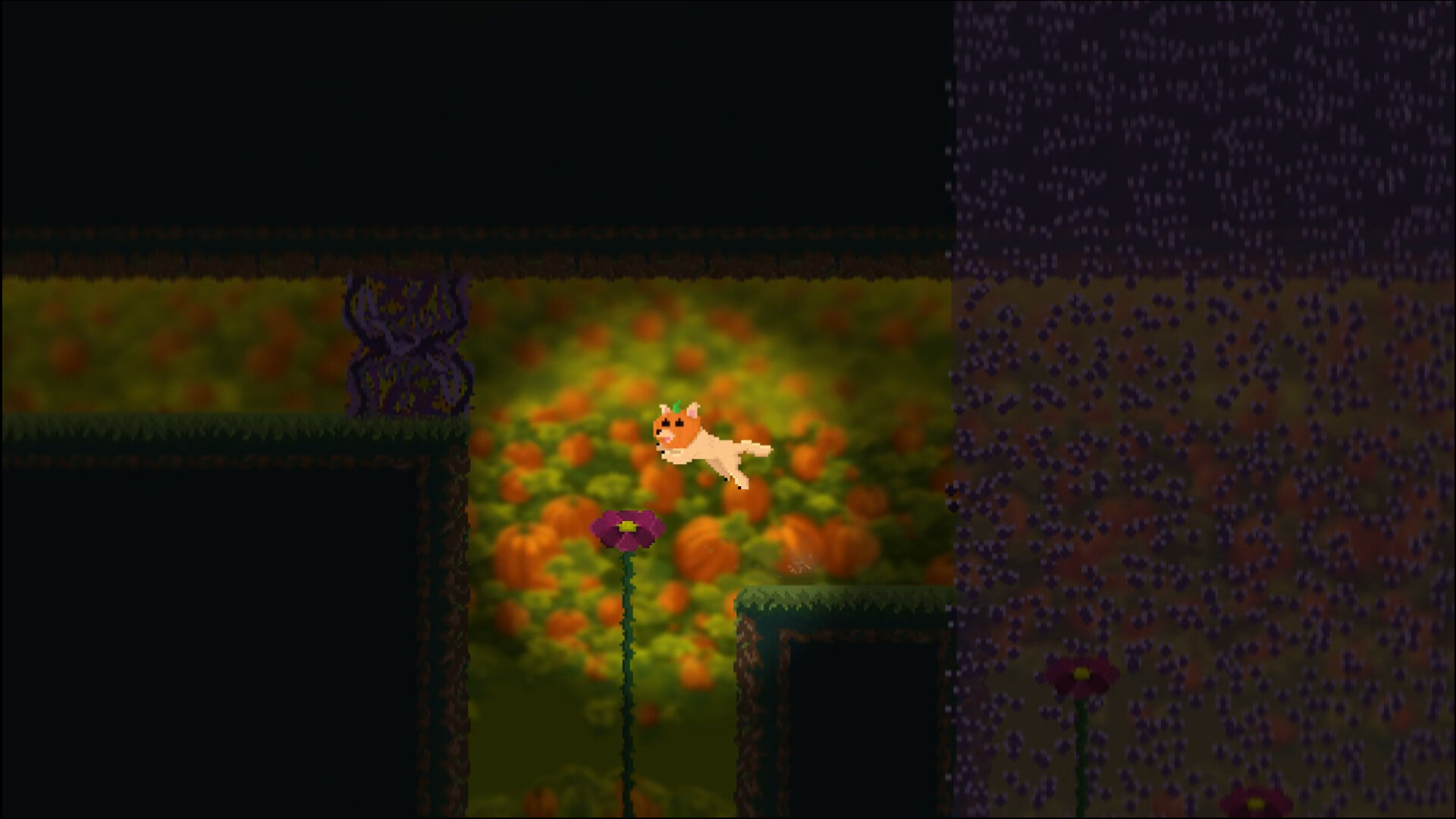 Pumpkin & Patch screenshot 6
