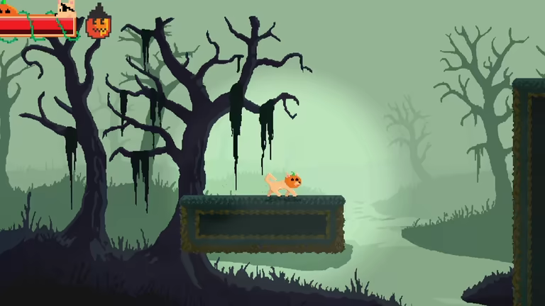 Pumpkin & Patch video 2