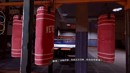 VR Boxing: Champion's Forge video 2