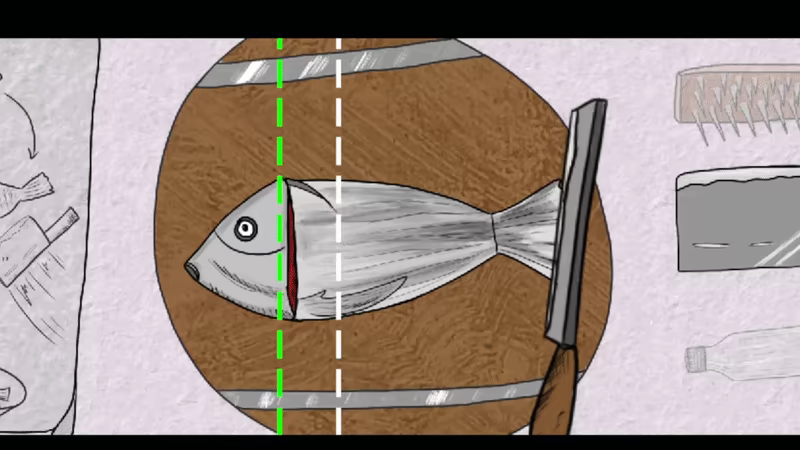 pond thing video 2