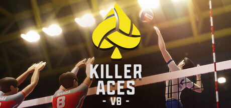 Killer Aces Volleyball