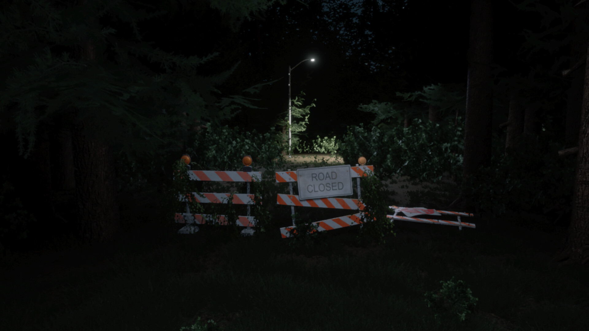 Darkness in the Forest screenshot #1