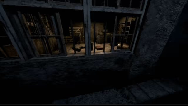 Darkness in the Forest video 3