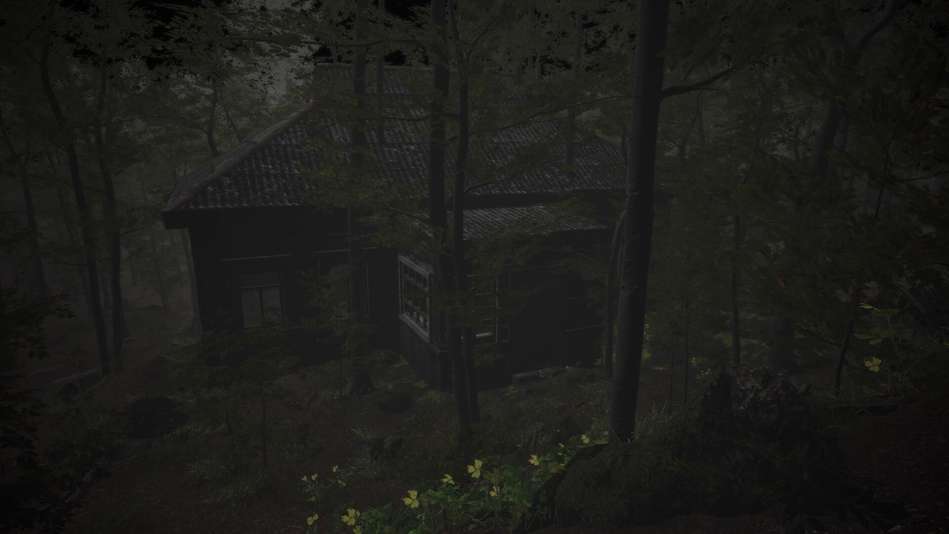 The Overnight Screening screenshot 5