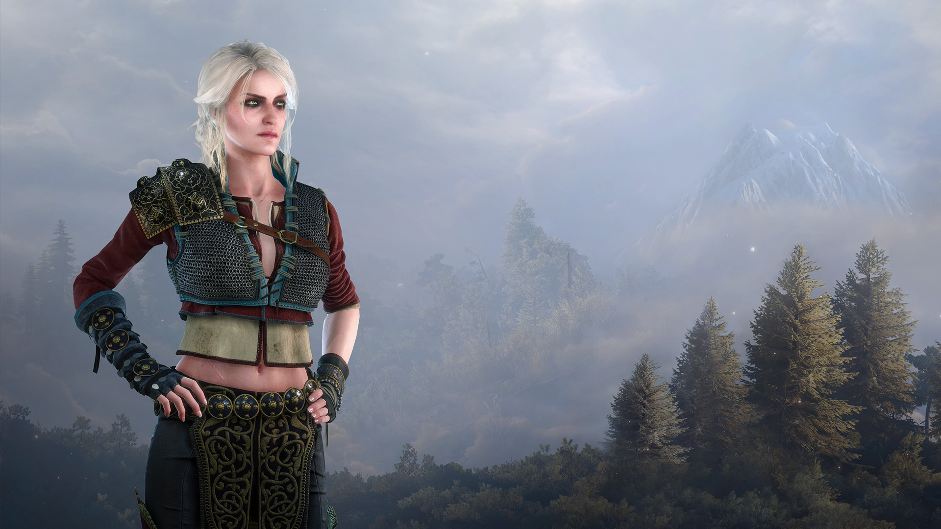 The Witcher 3: Wild Hunt - Alternative Look for Ciri screenshot 1