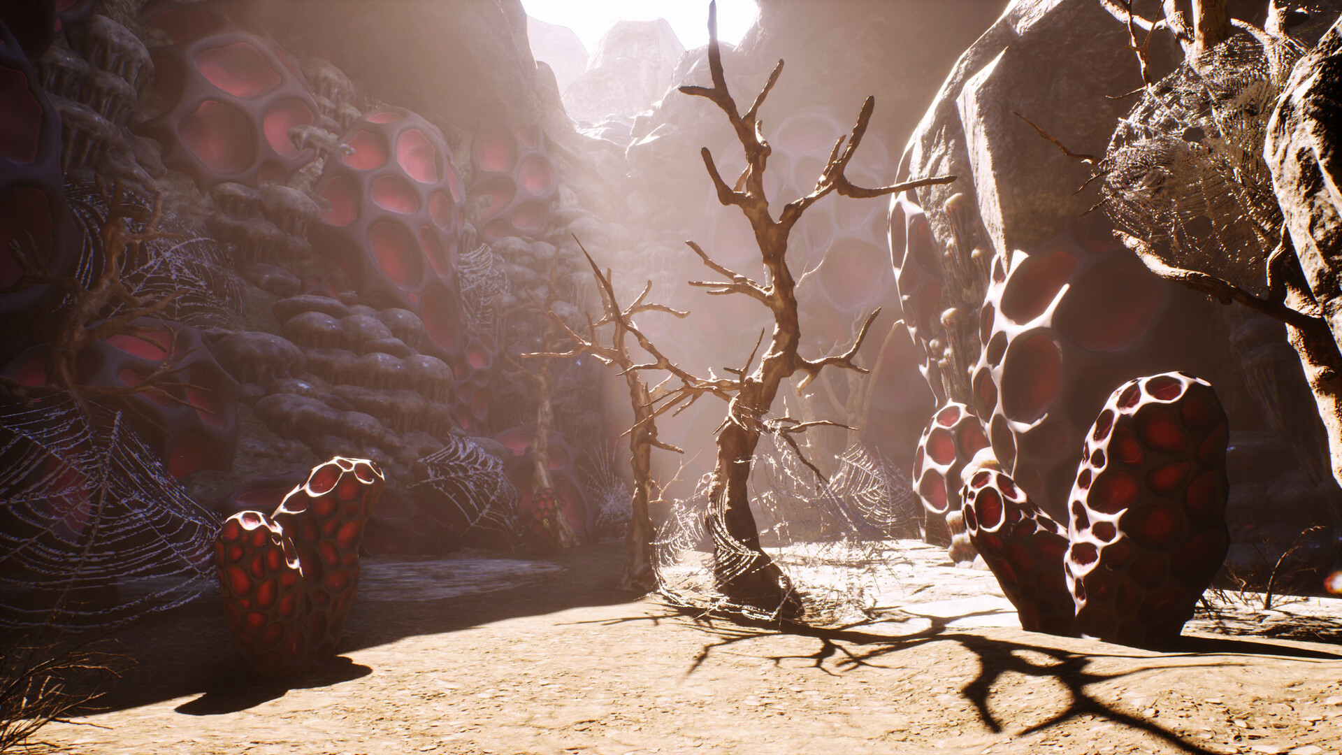 Hermit screenshot 8