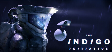 The INDIGO Initiative cover art