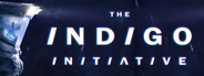 The INDIGO Initiative