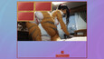Screenshot #2