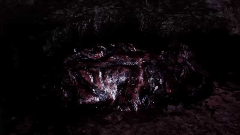 凝视之林：虱子 The Watching Woods: The Louse 中文 短途步行模拟恐怖