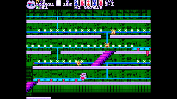 Black Cat Bundle screenshot 2