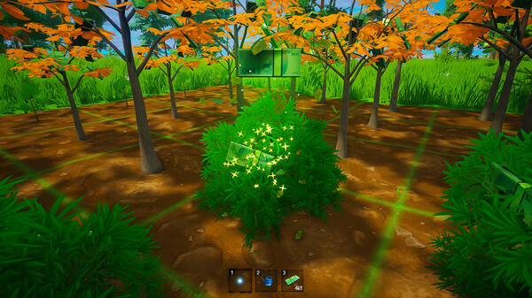 My Money Grows On Trees