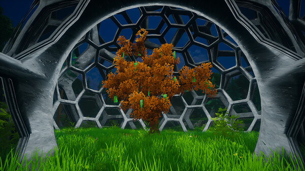 My Money Grows On Trees.