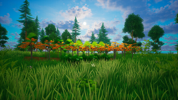 My Money Grows On Trees.