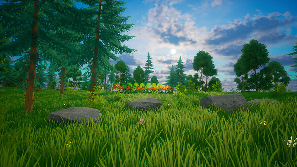 My Money Grows On Trees.