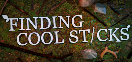 Finding Cool Sticks cover art