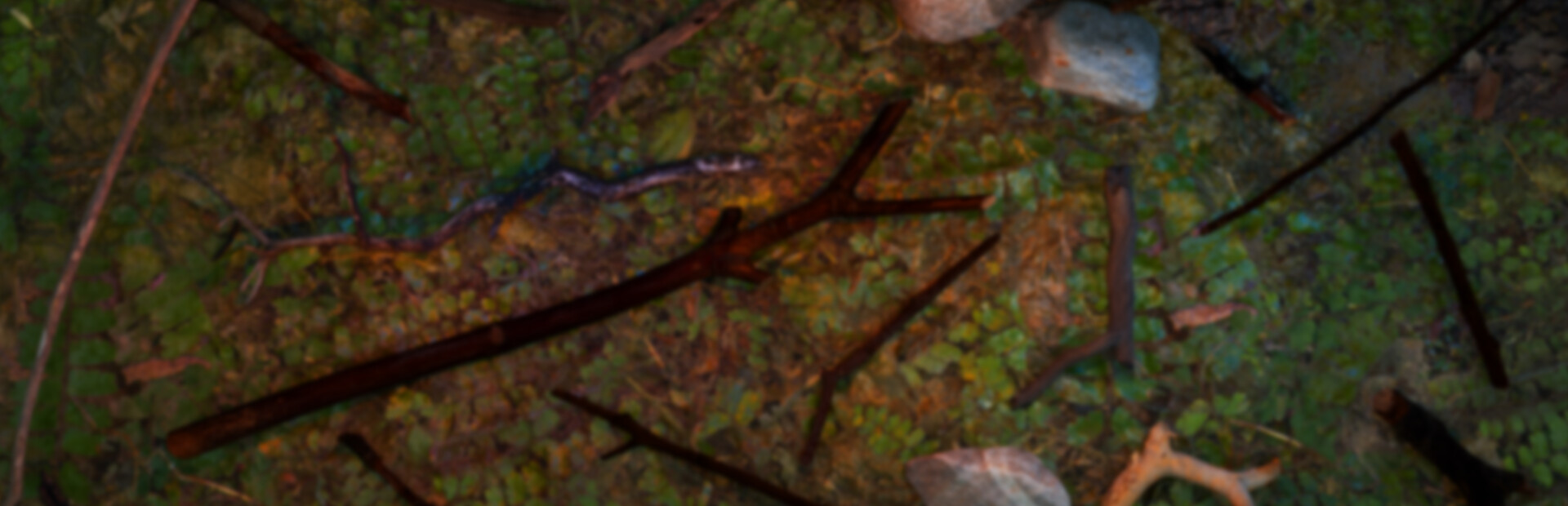 Finding Cool Sticks