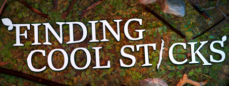 Finding Cool Sticks cover art