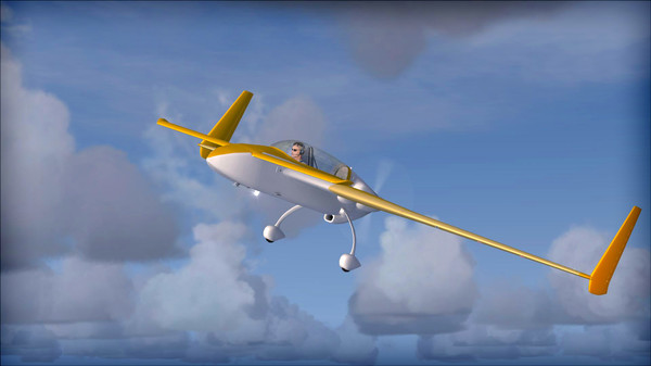 FSX: Steam Edition - Rutan 61 Long EZ Add-On
