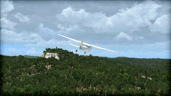 FSX: Steam Edition - Natural Tree Environment X Add-On